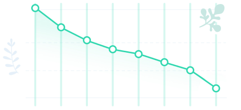 Weight loss graph with palm branch